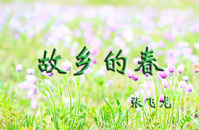 春.jpg