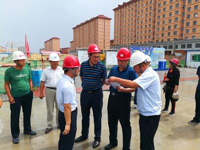 张市长检查2 (1)_副本.jpg