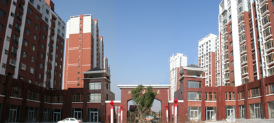 01.jpg